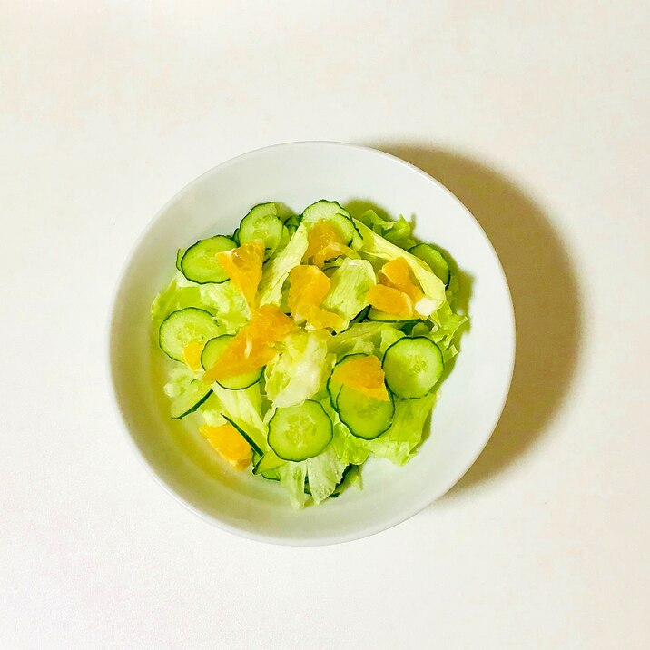 夏みかん入り生野菜サラダ